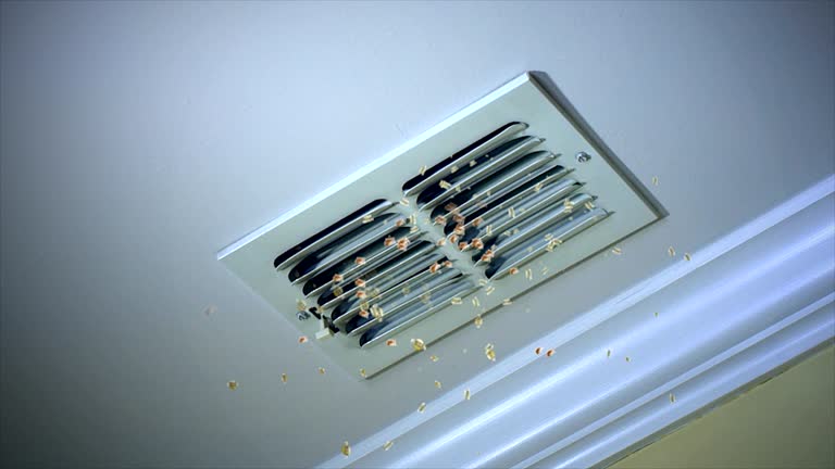 Best Air Duct Cleaning Near Me  in East Oakdale, CA